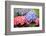 Spring Flowers-abracadabra99-Framed Photographic Print