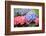 Spring Flowers-abracadabra99-Framed Photographic Print