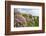 Spring flowers-David Clapp-Framed Photo