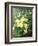 Spring Flowers-Annie Feray Mutrie-Framed Giclee Print