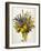 Spring Flowers-Christopher Ryland-Framed Giclee Print