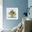 Spring Flowers-Christopher Ryland-Framed Premium Giclee Print displayed on a wall