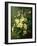 Spring Flowers-Annie Feray Mutrie-Framed Giclee Print