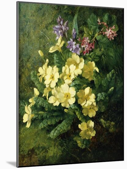 Spring Flowers-Annie Feray Mutrie-Mounted Giclee Print