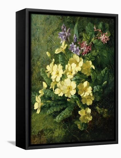 Spring Flowers-Annie Feray Mutrie-Framed Premier Image Canvas