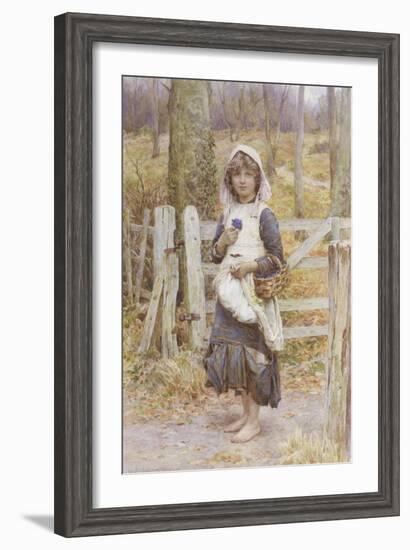 Spring Flowers-Henry Johnstone-Framed Giclee Print