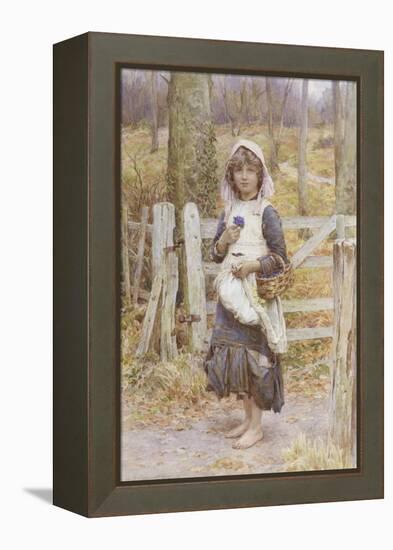 Spring Flowers-Henry Johnstone-Framed Premier Image Canvas