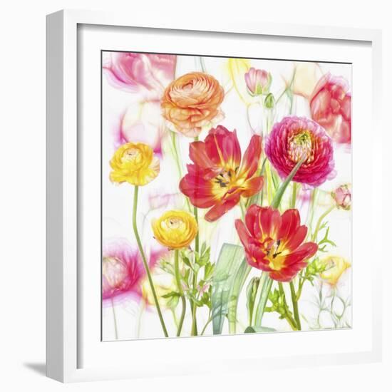 Spring Flowers-Cora Niele-Framed Giclee Print