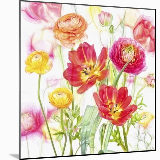 Spring Flowers-Cora Niele-Mounted Giclee Print