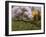 Spring Flowers-Michael Budden-Framed Giclee Print