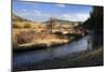 Spring Fly Fishing Outside Of Fairplay Colorado-Liam Doran-Mounted Photographic Print