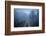 Spring Fog-Patrick Zephyr-Framed Photographic Print