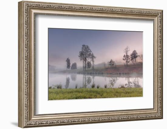 spring fog-Belinda Shi-Framed Photographic Print