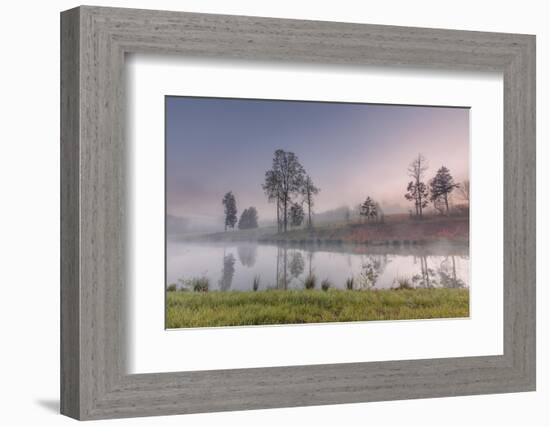 spring fog-Belinda Shi-Framed Photographic Print