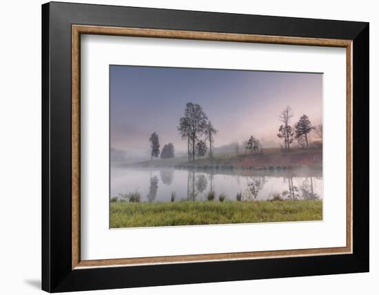 spring fog-Belinda Shi-Framed Photographic Print