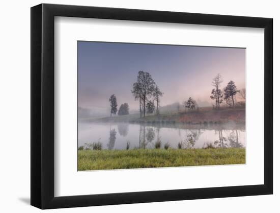 spring fog-Belinda Shi-Framed Photographic Print