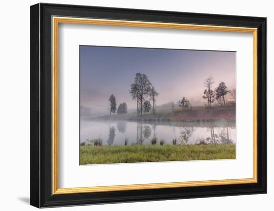 spring fog-Belinda Shi-Framed Photographic Print