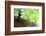 Spring Foliage-Herb Dickinson-Framed Photographic Print