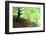 Spring Foliage-Herb Dickinson-Framed Photographic Print
