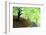 Spring Foliage-Herb Dickinson-Framed Photographic Print