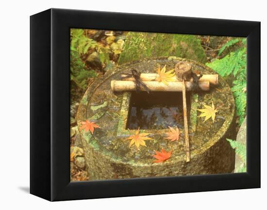 Spring for Tea Ceremony, Ryanji Temple, Kyoto, Japan-Rob Tilley-Framed Premier Image Canvas