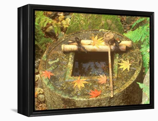 Spring for Tea Ceremony, Ryanji Temple, Kyoto, Japan-Rob Tilley-Framed Premier Image Canvas