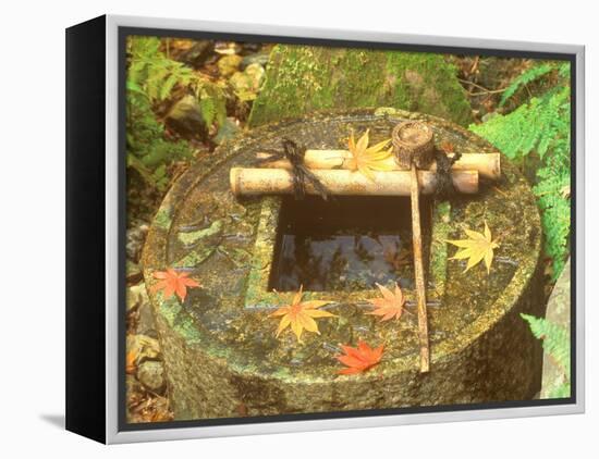 Spring for Tea Ceremony, Ryanji Temple, Kyoto, Japan-Rob Tilley-Framed Premier Image Canvas