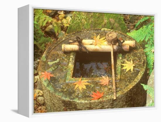 Spring for Tea Ceremony, Ryanji Temple, Kyoto, Japan-Rob Tilley-Framed Premier Image Canvas