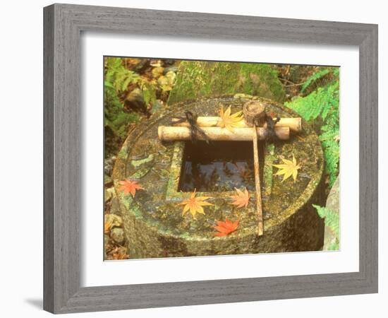 Spring for Tea Ceremony, Ryanji Temple, Kyoto, Japan-Rob Tilley-Framed Photographic Print