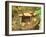 Spring for Tea Ceremony, Ryanji Temple, Kyoto, Japan-Rob Tilley-Framed Photographic Print