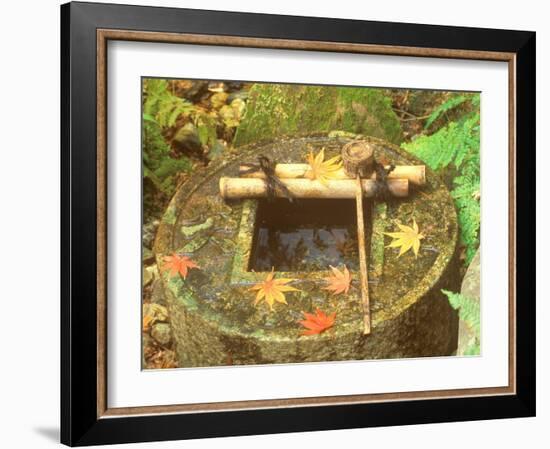 Spring for Tea Ceremony, Ryanji Temple, Kyoto, Japan-Rob Tilley-Framed Photographic Print