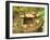 Spring for Tea Ceremony, Ryanji Temple, Kyoto, Japan-Rob Tilley-Framed Photographic Print