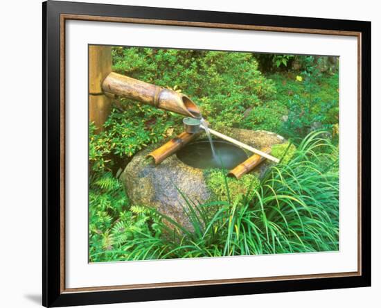 Spring for Tea Ceremony, Sanzen-in Temple, Kyoto, Japan-Rob Tilley-Framed Photographic Print