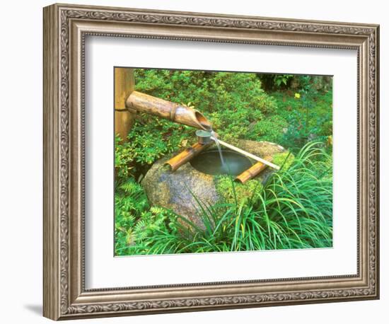 Spring for Tea Ceremony, Sanzen-in Temple, Kyoto, Japan-Rob Tilley-Framed Photographic Print