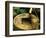 Spring for Tea Cermony, Ryoanji, Kyoto, Japan-Rob Tilley-Framed Photographic Print