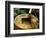 Spring for Tea Cermony, Ryoanji, Kyoto, Japan-Rob Tilley-Framed Photographic Print