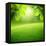 Spring Forest Background-Iakov Kalinin-Framed Premier Image Canvas