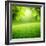 Spring Forest Background-Iakov Kalinin-Framed Photographic Print