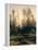 Spring Forest-null-Framed Premier Image Canvas