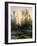 Spring Forest-null-Framed Giclee Print