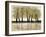 Spring Forest-Doris Charest-Framed Art Print