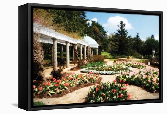 Spring Formality I-Alan Hausenflock-Framed Premier Image Canvas