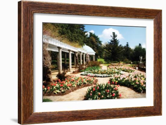 Spring Formality I-Alan Hausenflock-Framed Photographic Print