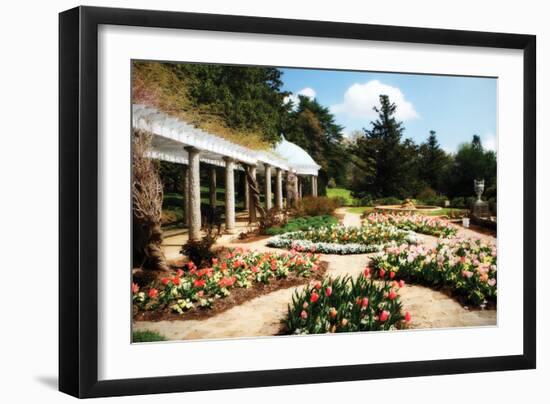 Spring Formality I-Alan Hausenflock-Framed Photographic Print