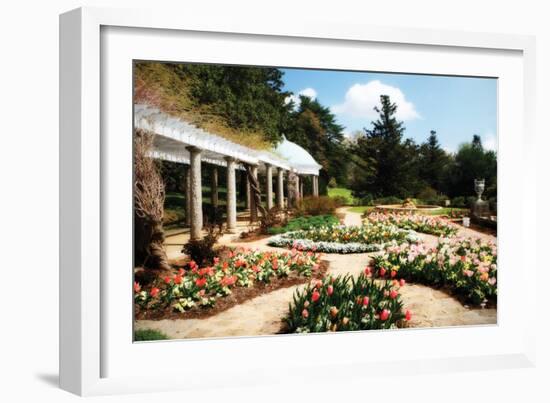 Spring Formality I-Alan Hausenflock-Framed Photographic Print