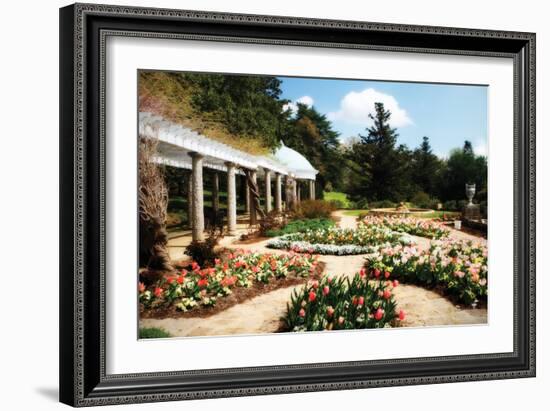 Spring Formality I-Alan Hausenflock-Framed Photographic Print