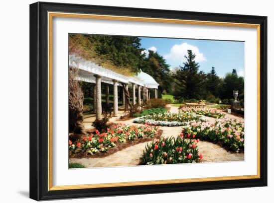 Spring Formality I-Alan Hausenflock-Framed Photographic Print