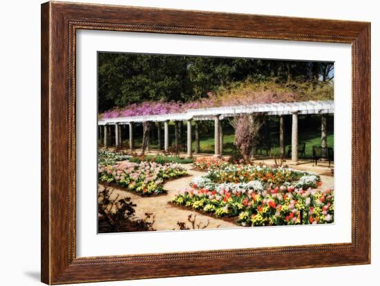 Spring Formality II-Alan Hausenflock-Framed Photographic Print