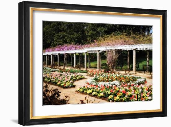 Spring Formality II-Alan Hausenflock-Framed Photographic Print