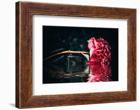 Spring Fragrance-Philippe Sainte-Laudy-Framed Photographic Print